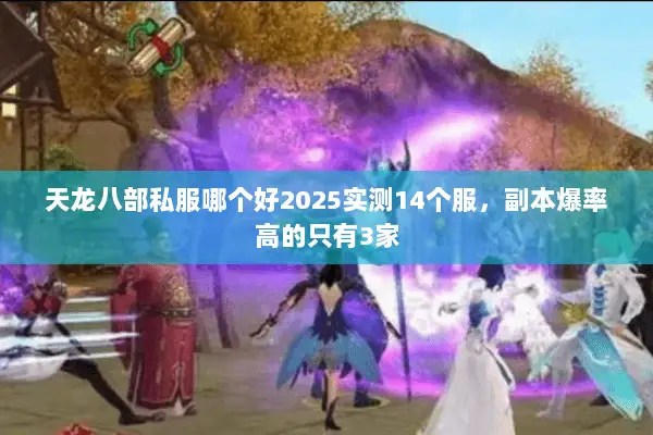 天龙八部私服哪个好2025实测14个服,副本爆率高的只有3家 天龙八部私服哪个好2025实测14个服,副本爆率高的只有3家