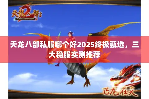 天龙八部私服哪个好2025终极甄选,三大稳服实测推荐 天龙八部私服哪个好2025终极甄选,三大稳服实测推荐