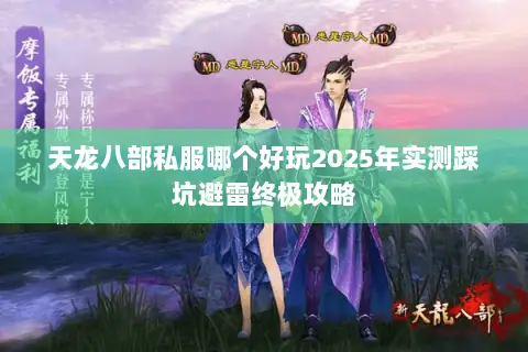 天龙八部私服哪个好玩2025年实测踩坑避雷终极攻略