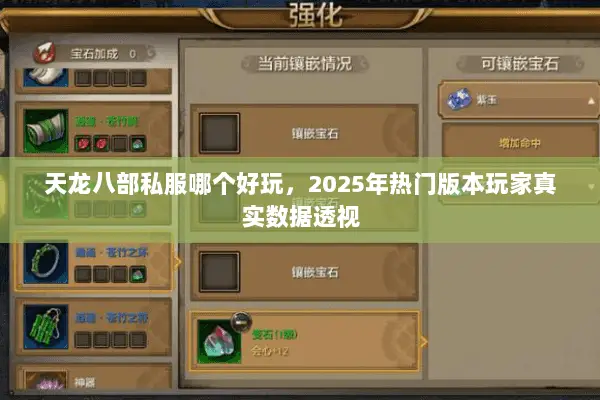 天龙八部私服哪个好玩,2025年热门版本玩家真实数据透视 天龙八部私服哪个好玩,2025年热门版本玩家真实数据透视