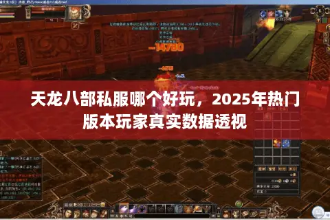 天龙八部私服哪个好玩,2025年热门版本玩家真实数据透视 天龙八部私服哪个好玩,2025年热门版本玩家真实数据透视