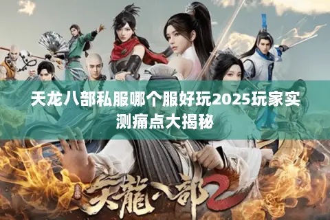 天龙八部私服哪个服好玩2025玩家实测痛点大揭秘