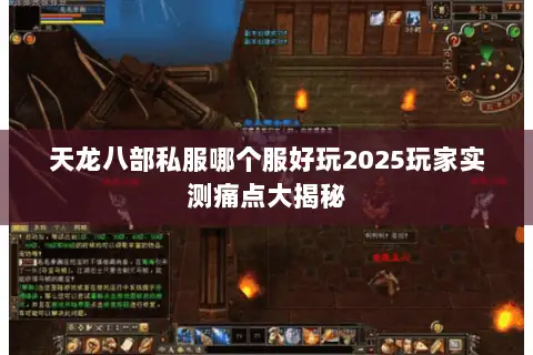 天龙八部私服哪个服好玩2025玩家实测痛点大揭秘