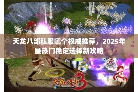 天龙八部私服哪个权威推荐,2025年最热门稳定选择新攻略 天龙八部私服哪个权威推荐,2025年最热门稳定选择新攻略
