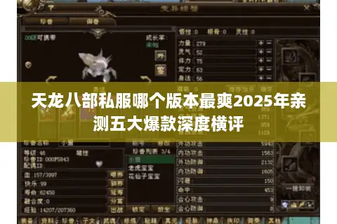 天龙八部私服哪个版本最爽2025年亲测五大爆款深度横评 天龙八部私服哪个版本最爽2025年亲测五大爆款深度横评