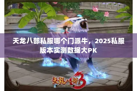天龙八部私服哪个门派牛，2025私服版本实测数据大PK