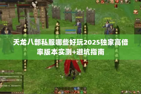 天龙八部私服哪些好玩2025独家高倍率版本实测+避坑指南