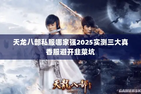 天龙八部私服哪家强2025实测三大真香服避开韭菜坑 天龙八部私服哪家强2025实测三大真香服避开韭菜坑