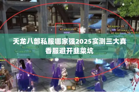 天龙八部私服哪家强2025实测三大真香服避开韭菜坑 天龙八部私服哪家强2025实测三大真香服避开韭菜坑