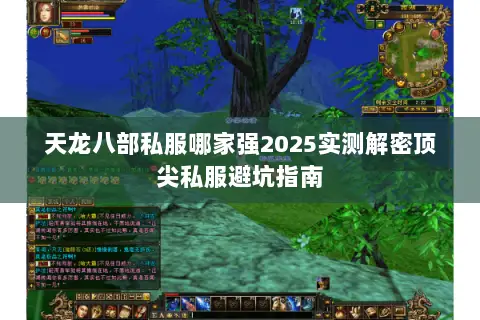 天龙八部私服哪家强2025实测解密顶尖私服避坑指南 天龙八部私服哪家强2025实测解密顶尖私服避坑指南