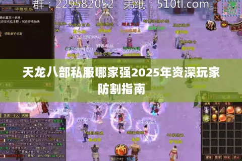 天龙八部私服哪家强2025年资深玩家防割指南 天龙八部私服哪家强2025年资深玩家防割指南