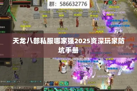 天龙八部私服哪家强2025资深玩家防坑手册