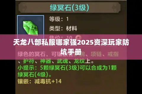 天龙八部私服哪家强2025资深玩家防坑手册
