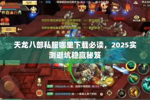 天龙八部私服哪里下载必读,2025实测避坑稳赢秘笈 天龙八部私服哪里下载必读,2025实测避坑稳赢秘笈