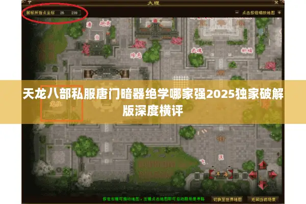 天龙八部私服唐门暗器绝学哪家强2025独家破解版深度横评