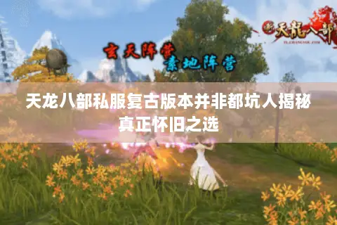 天龙八部私服复古版本并非都坑人揭秘真正怀旧之选