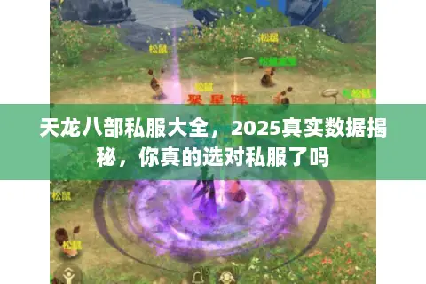 天龙八部私服大全,2025真实数据揭秘,你真的选对私服了吗 天龙八部私服大全,2025真实数据揭秘,你真的选对私服了吗