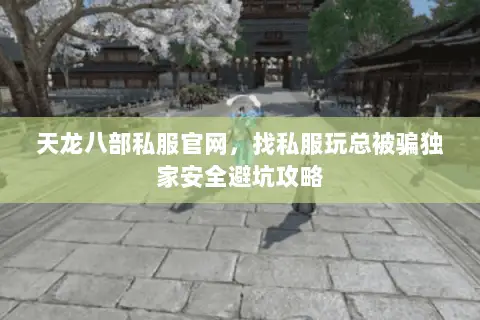 天龙八部私服官网，找私服玩总被骗独家安全避坑攻略