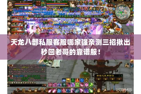 天龙八部私服客服哪家强亲测三招揪出秒回老哥的靠谱服! 天龙八部私服客服哪家强亲测三招揪出秒回老哥的靠谱服!
