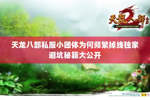 天龙八部私服小团体为何频繁掉线独家避坑秘籍大公开 天龙八部私服小团体为何频繁掉线独家避坑秘籍大公开