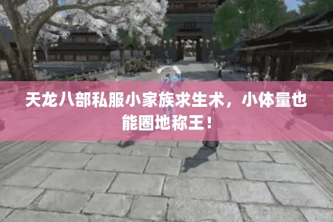 天龙八部私服小家族求生术，小体量也能圈地称王！