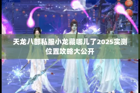 天龙八部私服小龙藏哪儿了2025实测位置攻略大公开 天龙八部私服小龙藏哪儿了2025实测位置攻略大公开