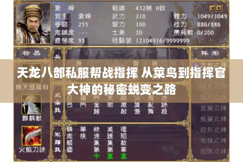 天龙八部私服帮战指挥 从菜鸟到指挥官大神的秘密蜕变之路 天龙八部私服帮战指挥 从菜鸟到指挥官大神的秘密蜕变之路