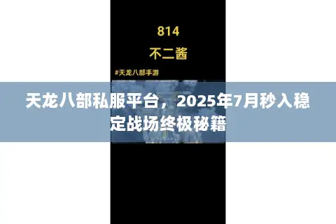 天龙八部私服平台,2025年7月秒入稳定战场终极秘籍 天龙八部私服平台,2025年7月秒入稳定战场终极秘籍