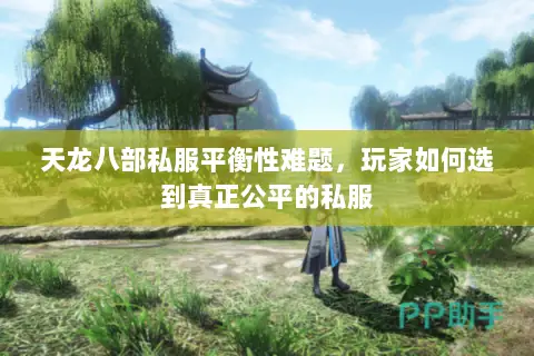 天龙八部私服平衡性难题，玩家如何选到真正公平的私服