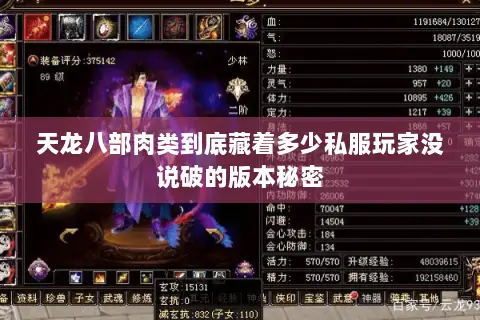 天龙八部肉类到底藏着多少私服玩家没说破的版本秘密