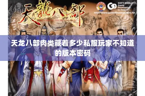 天龙八部肉类藏着多少私服玩家不知道的版本密码 天龙八部肉类藏着多少私服玩家不知道的版本密码