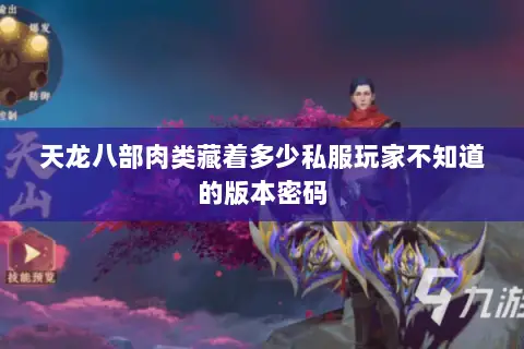 天龙八部肉类藏着多少私服玩家不知道的版本密码 天龙八部肉类藏着多少私服玩家不知道的版本密码