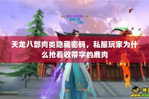 天龙八部肉类隐藏密码，私服玩家为什么抢着收带字的鹿肉