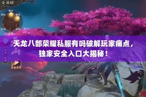 天龙八部荣耀私服有吗破解玩家痛点，独家安全入口大揭秘！