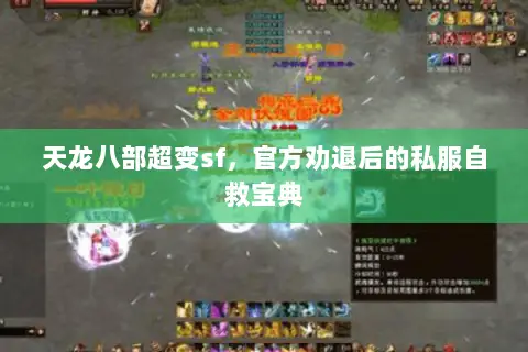 天龙八部超变sf,官方劝退后的私服自救宝典 天龙八部超变sf,官方劝退后的私服自救宝典