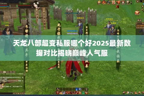 天龙八部超变私服哪个好2025最新数据对比揭晓巅峰人气服 天龙八部超变私服哪个好2025最新数据对比揭晓巅峰人气服