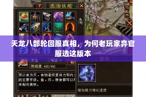 天龙八部轮回服真相，为何老玩家弃官服选这版本