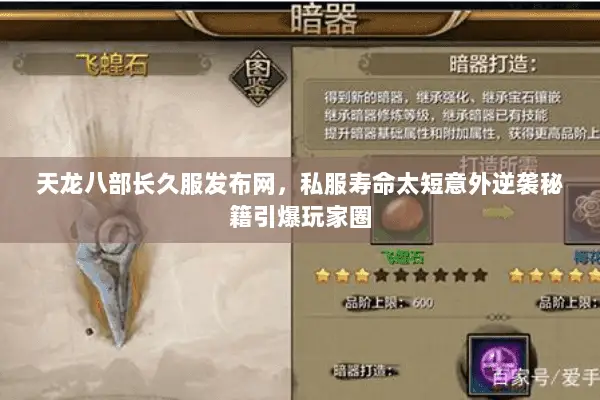 天龙八部长久服发布网,私服寿命太短意外逆袭秘籍引爆玩家圈 天龙八部长久服发布网,私服寿命太短意外逆袭秘籍引爆玩家圈