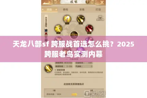 天龙八部sf 跨服战首选怎么挑?2025跨服老鸟实测内幕 天龙八部sf 跨服战首选怎么挑?2025跨服老鸟实测内幕
