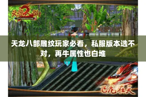 天龙八部雕纹玩家必看,私服版本选不对,再牛属性也白堆 天龙八部雕纹玩家必看,私服版本选不对,再牛属性也白堆
