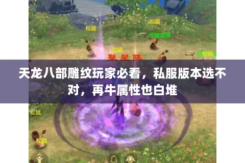 天龙八部雕纹玩家必看,私服版本选不对,再牛属性也白堆 天龙八部雕纹玩家必看,私服版本选不对,再牛属性也白堆