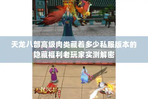 天龙八部高级肉类藏着多少私服版本的隐藏福利老玩家实测解密 天龙八部高级肉类藏着多少私服版本的隐藏福利老玩家实测解密