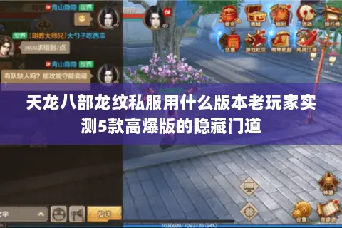 天龙八部龙纹私服用什么版本老玩家实测5款高爆版的隐藏门道 天龙八部龙纹私服用什么版本老玩家实测5款高爆版的隐藏门道