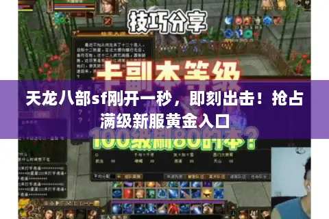 天龙八部sf刚开一秒,即刻出击!抢占满级新服黄金入口 天龙八部sf刚开一秒,即刻出击!抢占满级新服黄金入口