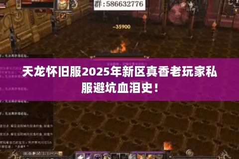 天龙怀旧服2025年新区真香老玩家私服避坑血泪史! 天龙怀旧服2025年新区真香老玩家私服避坑血泪史!