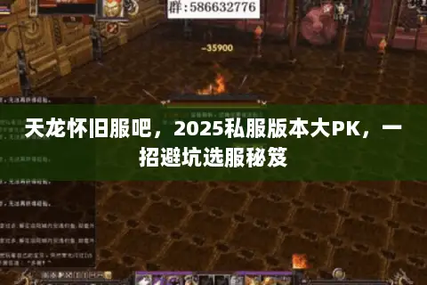 天龙怀旧服吧，2025私服版本大PK，一招避坑选服秘笈