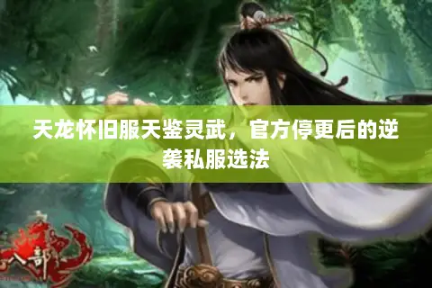 天龙怀旧服天鉴灵武,官方停更后的逆袭私服选法 天龙怀旧服天鉴灵武,官方停更后的逆袭私服选法