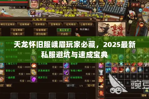 天龙怀旧服峨眉玩家必藏，2025最新私服避坑与速成宝典