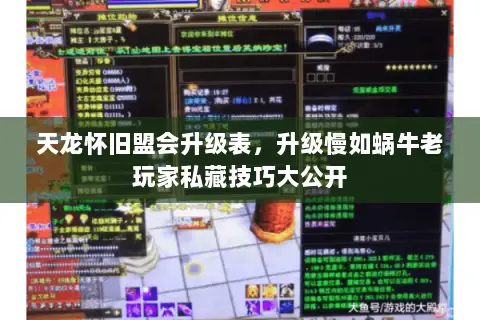 天龙怀旧盟会升级表，升级慢如蜗牛老玩家私藏技巧大公开