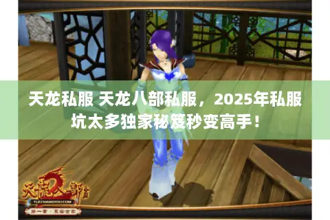 天龙私服 天龙八部私服，2025年私服坑太多独家秘笈秒变高手！